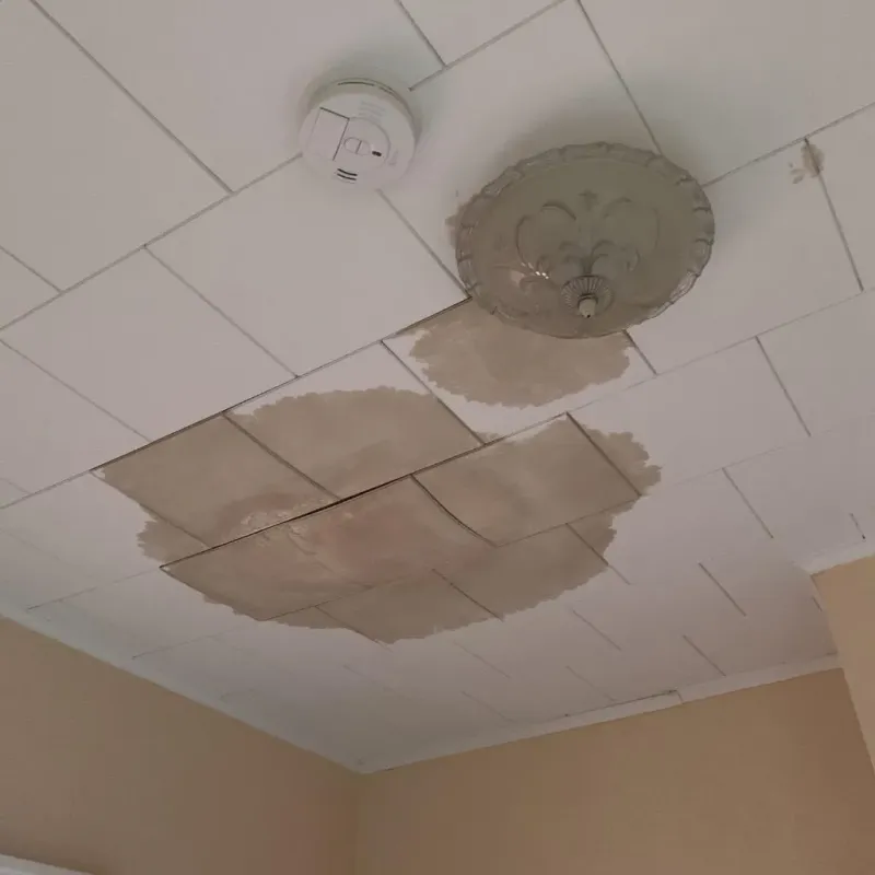 Ceiling Water Damage Repair in Kinney County, TX